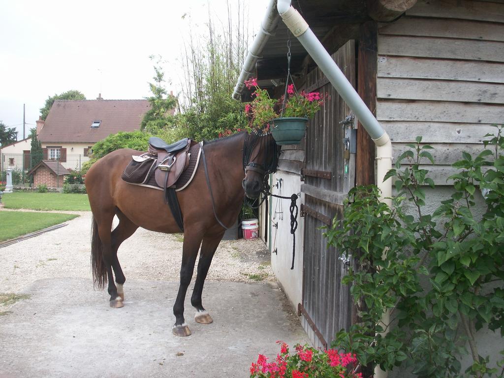 Le Clos Des Perraudieres Cour-Cheverny Kültér fotó