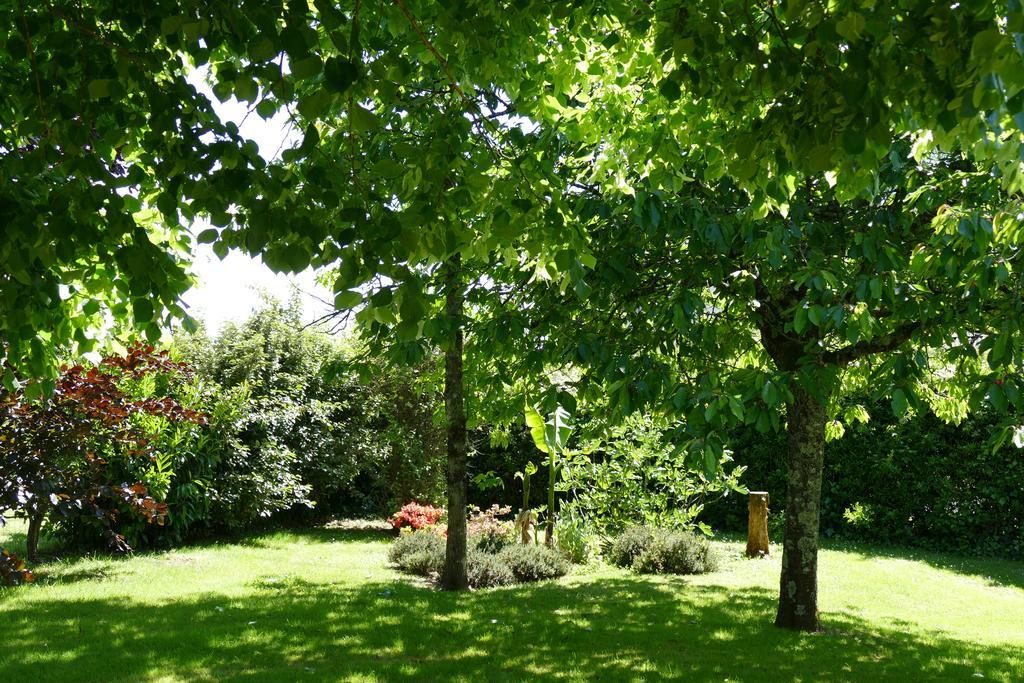 Le Clos Des Perraudieres Cour-Cheverny Kültér fotó
