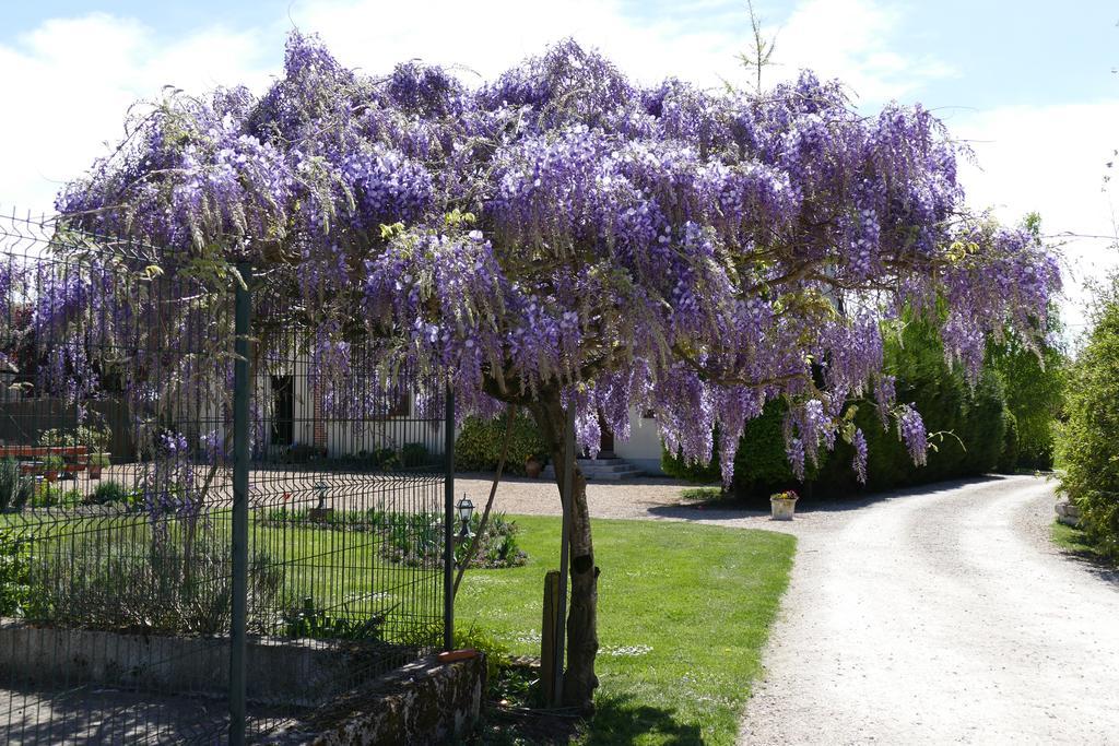 Le Clos Des Perraudieres Cour-Cheverny Kültér fotó