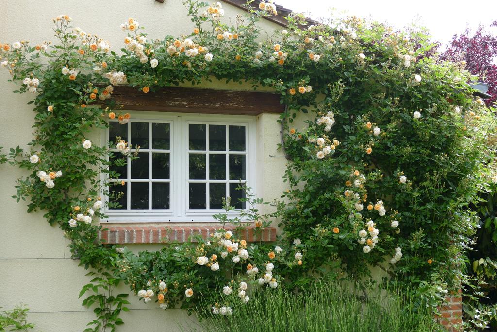 Le Clos Des Perraudieres Cour-Cheverny Kültér fotó